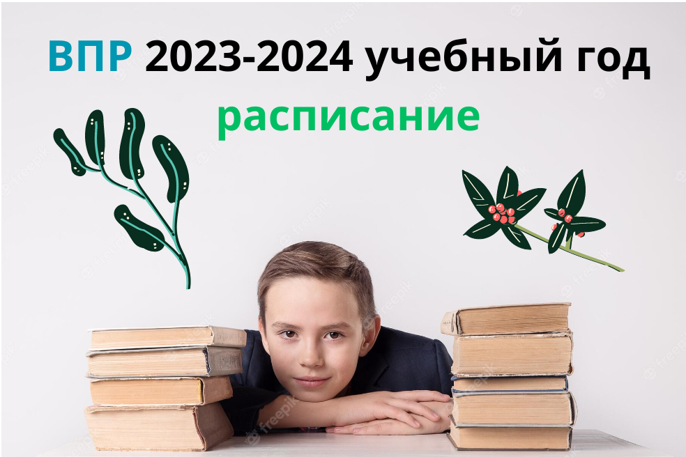Всероссийский проверочный работы 2024.